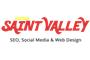 Saint Valley Web Consulting logo