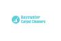 Bayswater Carpet Cleaners Ltd. logo