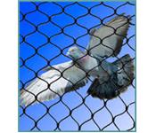 Pigeon Netting Systems.com Ltd image 1