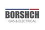 Borshch Electrical - Your best choice for household appliances logo