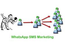 Whatsapp Marketing image 2