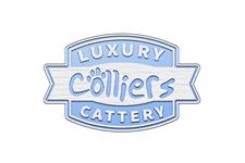 Colliers Cattery image 4