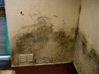 Damp Solutions On Site image 10