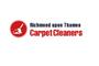 Richmond Upon Thames Carpet Cleaners LTD logo