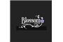 Blossom Lingerie logo