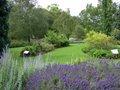Cambridge University Botanic Garden image 8