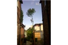 Treestyle Arboriculture and Tree Surgeons image 8