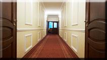 Carpet Cleaner Ltd image 1