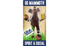 GO Mammoth image 2