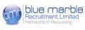 Blue Marble Recruitment Limited image 2