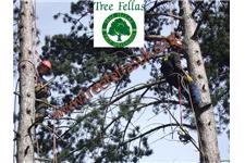 Treefellas image 1