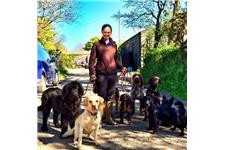 Dog Training In Cornwall image 2