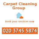 Professional Carpet Cleaners logo