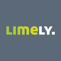 Limely - Chester Web Design image 11