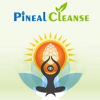 Pineal Cleanse image 3