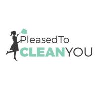 Pleased To Clean You image 1