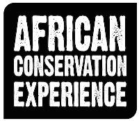 African Conservation Experience image 1