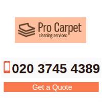 Pro Carpet Cleaners London image 1