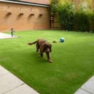 Dayco Artificial Grass London image 11