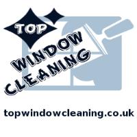 Top Window Cleaning image 1