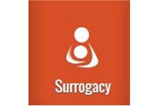 Ambassadors Of Surrogacy image 1