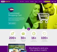 Thewpexperts -- Woocommerce specialist image 2