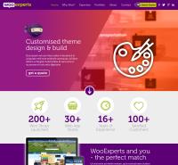 Thewpexperts -- Woocommerce specialist image 4