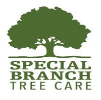 Special Branch Tree Care image 1