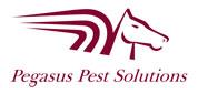 Pegasus Pest Solutions image 1
