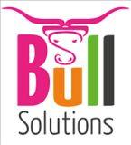 Bull Digital Marketing image 1