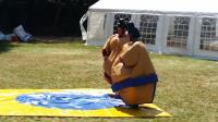 The sumo suits hire company image 2