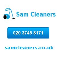 Sam Cleaners image 1