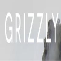 Grizzly image 1