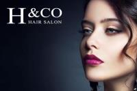 H & Co Hair Salon image 1