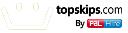 TopSkip logo