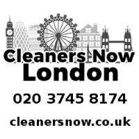 Cleaners Now image 1