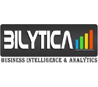 Bilytica - business intelligence solutions image 3