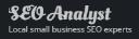 SEO Analyst logo