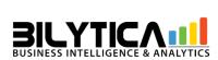 Bilytica - business intelligence solutions image 2