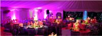 London Party Tents image 2