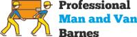 Professional Man and Van Barnes image 2