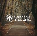 Caledonia Tree Care logo