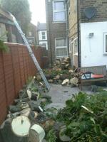 Complete Gardens - Lnadscaping Services in London image 2