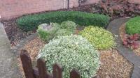 Complete Gardens - Lnadscaping Services in London image 19