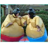 Bouncy Castle, Sumo Suit & Face Painting image 1