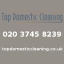 Top Domestic Cleaning London logo