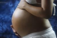 The Nurturing Womb image 1