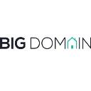 The Big Domain logo