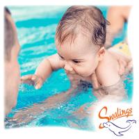 Swalings Swimming Academy Limited image 2