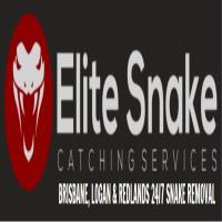 Elite Snake image 1